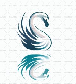 Anmutiger Schwan und Spiegelung